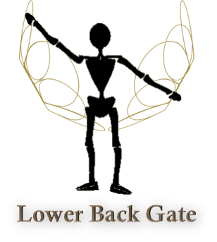 Lower Back Gate